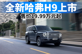 全新哈弗H9上市，售价19.99万元