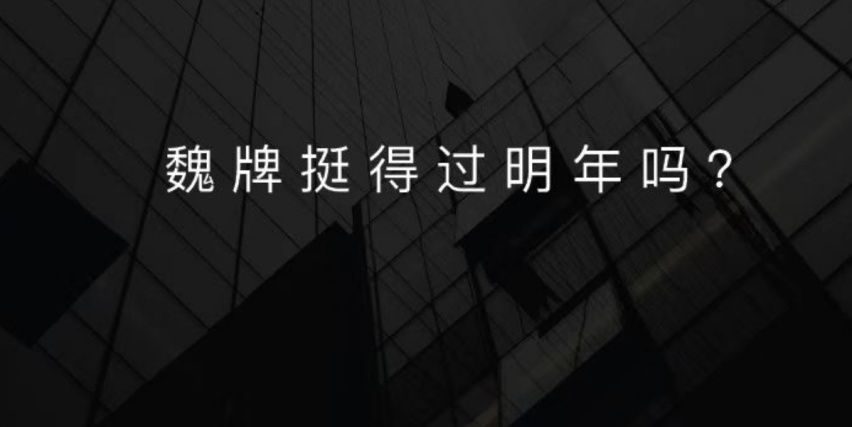 全新蓝山上市，魏建军三次出场，能否打响魏牌反击战？