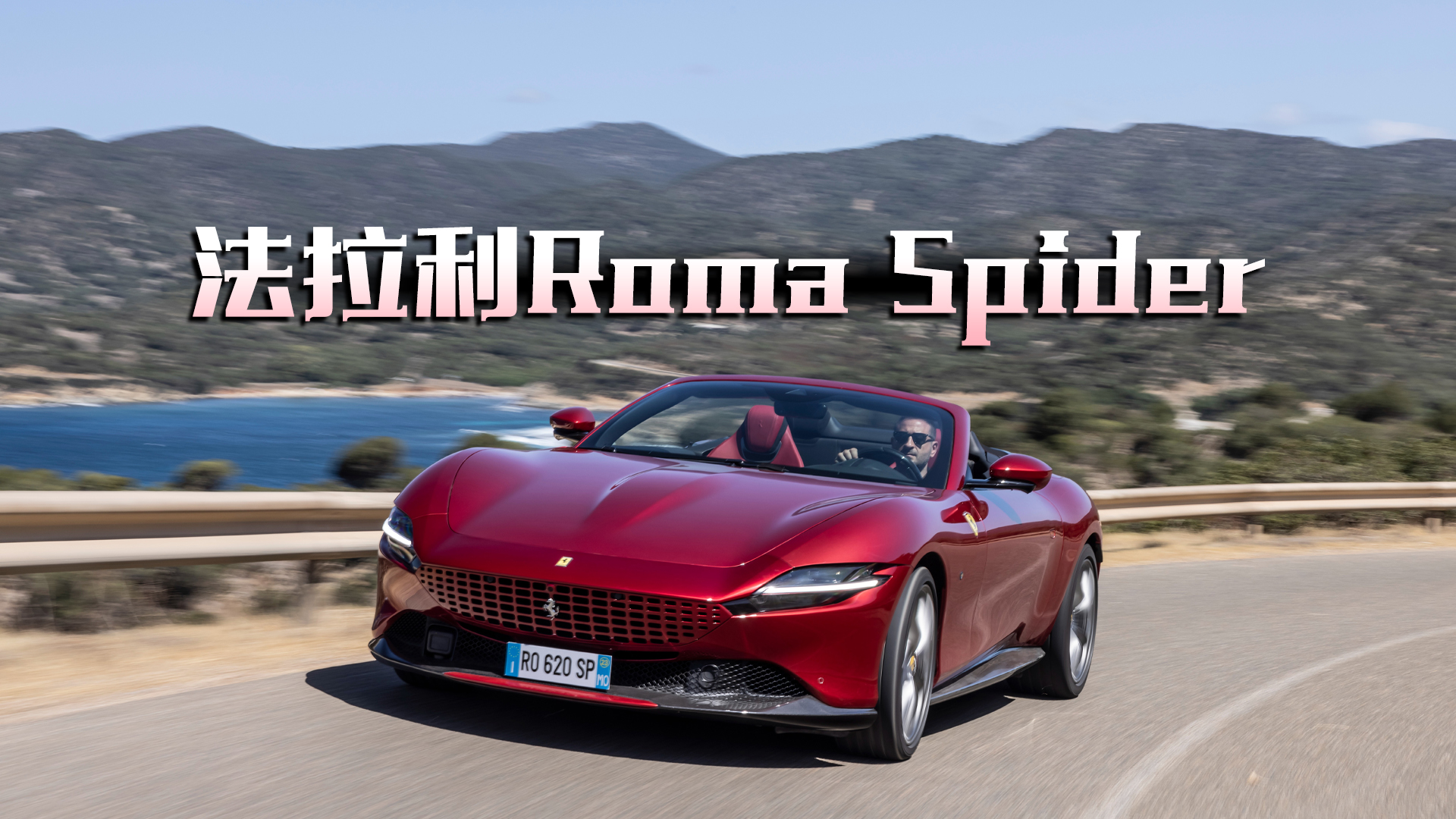 Roma Spider