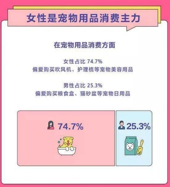 分分钟改出“宠物豪华套间”？这款BJ40刀锋英雄改装女性也能上手