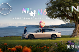这价格杀疯了 东风日产插混轿车N6开启预售
