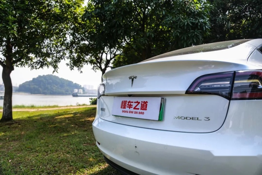 懂车之道试车：国产特斯拉Model 3，我和你们真不一样