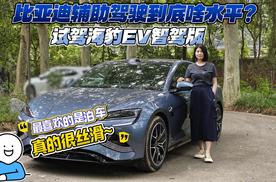 比亚迪辅助驾驶到底啥水平？试驾海豹EV智驾版 泊车真的很丝滑