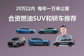 20万以内，每年一万来公里，燃油车型推荐