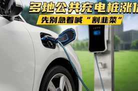 多地公共充电桩涨价，先别急着喊“割韭菜”