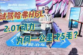 试驾哈弗H6L，2.0T动力为何一公里才5毛？