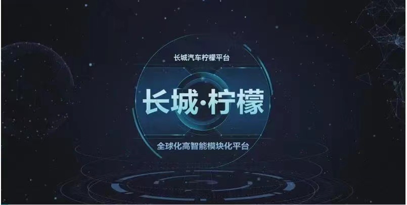 定位高端且究竟有何过人之处？魏牌全新SUV曝光