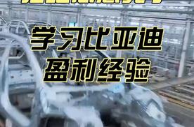 拒绝恶意竞争，学习比亚迪盈利经验