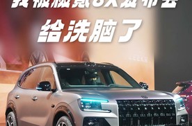 预售价37.68万元起 我为什么被极氪8X给洗脑了？