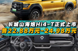 长城山海炮Hi4-T正式上市，售22.88万元-24.98万元