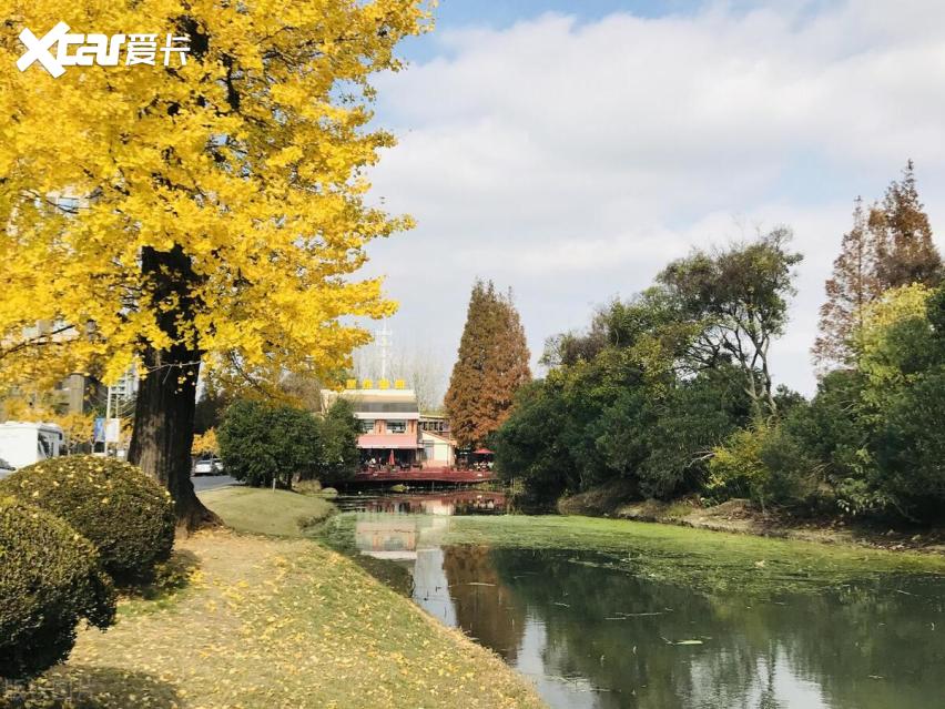 试驾新哪吒X，松江秋日的灵动之旅