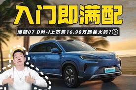 丹拿音响和天神之眼等都是全系标配，海狮07 DM-i售16.98万起要火？