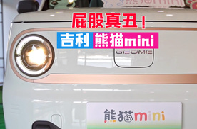 【沉浸式体验】吉利熊猫mini灵动熊