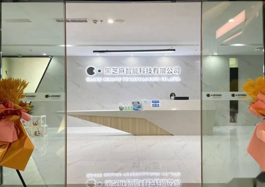 小米等资本参投 黑芝麻智能估值超百亿国内自动驾驶芯片独角兽诞生