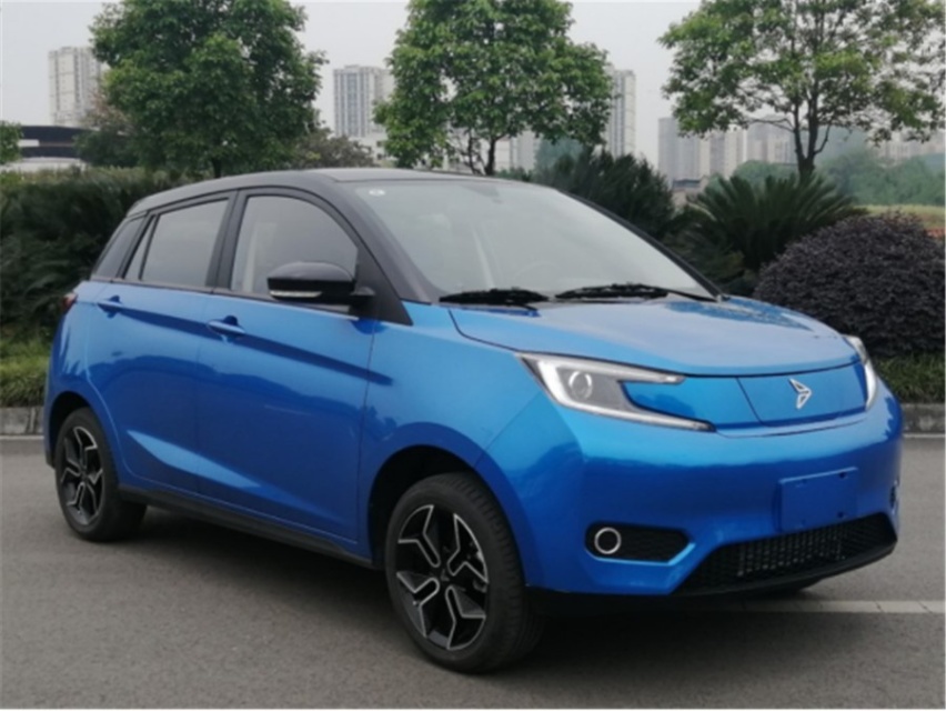 商标变为“天琴牌”，电机35kW，新特DEV 1申报图曝光
