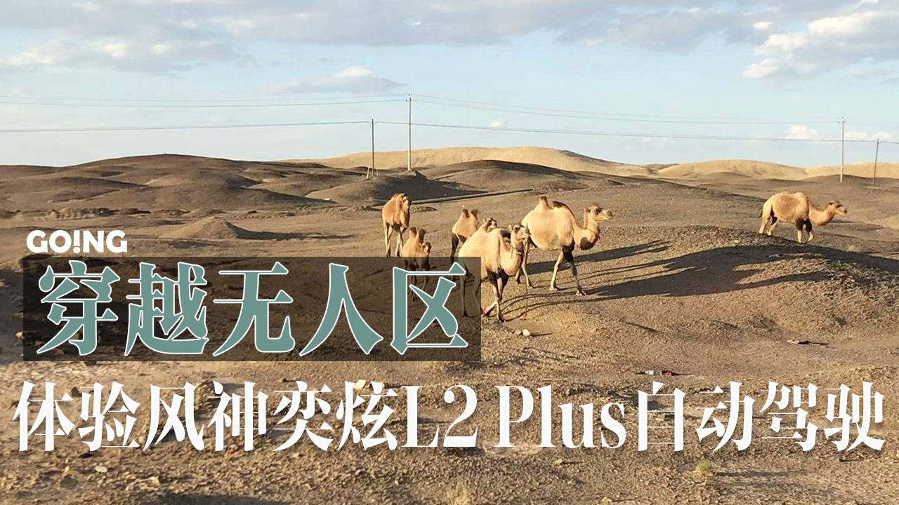 GOINGԽo˅^wLL2 PlusԄ{