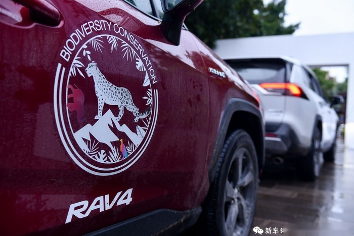 每一辆车都想去滇西，这一次RAV4荣放玩到了极致