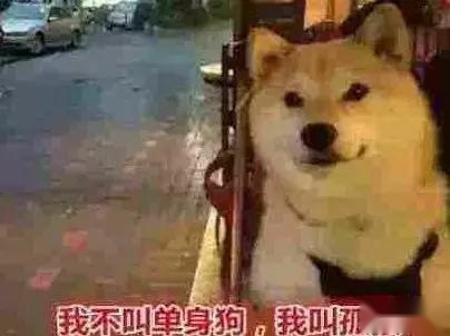 20万落地，傲娇“单身狗”最爱车型，看看你中标没