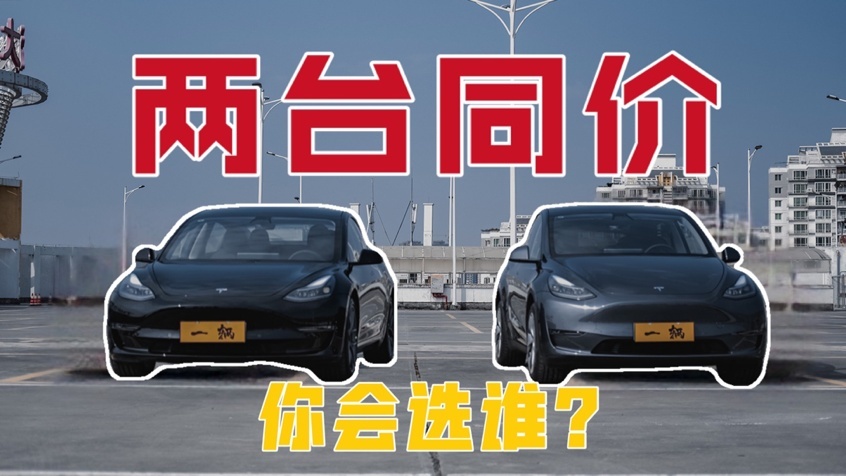 半程回顾，新能源品牌的悲喜并不相通