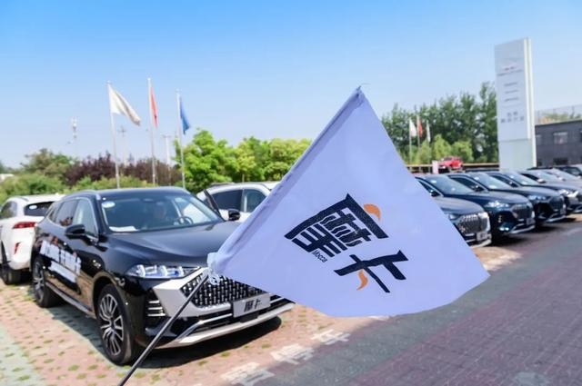 开过之后想下单 试驾高阶智驾车型WEY摩卡
