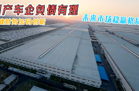 国产车企负债有理！稳健财务加码创新，未来市场稳赢格局！
