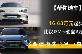 16.68万元起步 比汉DM-i便宜2万多 比亚迪海豹DM-i真香