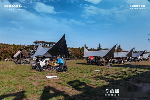 哈弗猛龙洛阳集中交付仪式举行  属于你的猛龙来了-图7