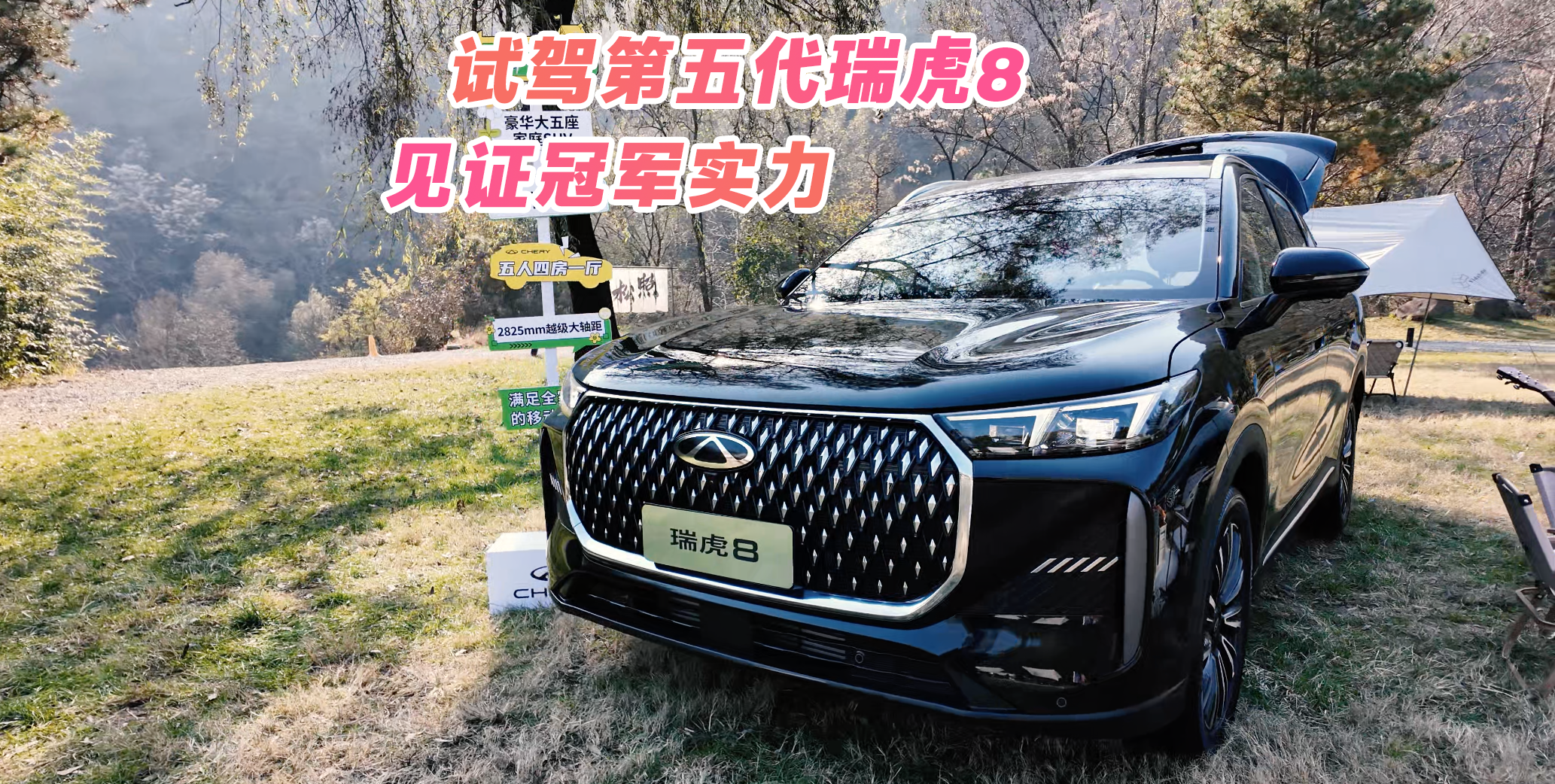 Ҋ�C��܊���e�Č��� ԇ�{����������8