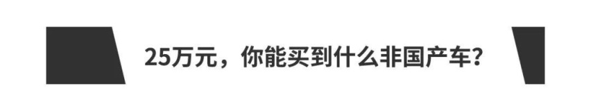 如果你有25万元，你会买国产车吗？