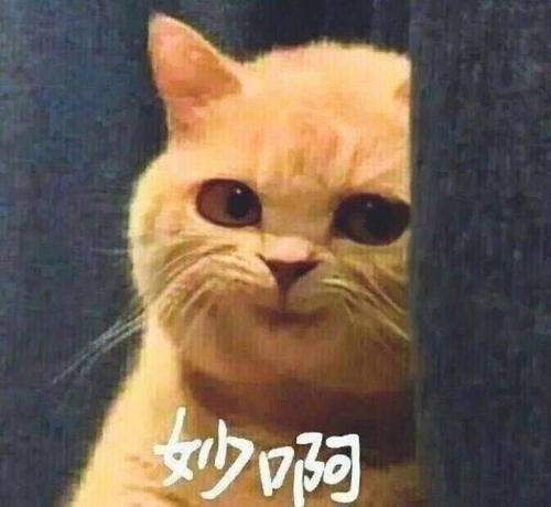 学起来，这5个车漆养护注意事项得上心，养好漆车才新！