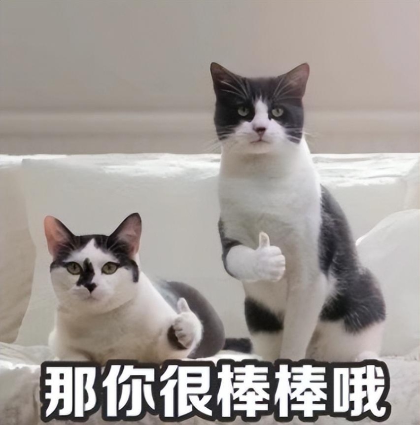 新老奔腾B70对拆，第一代更实在，还是第四代更先进？