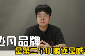 卷土重来的飞凡，会成为下一个小鹏还是威马？