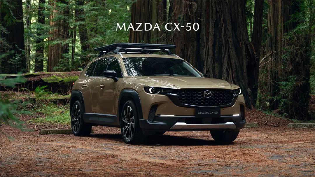 ��ͳӲʵ�������������������Դ�CX-50����