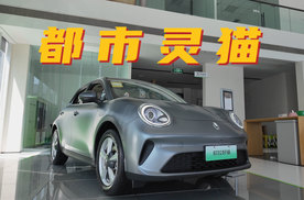 到店实拍2025款欧拉好猫：好看又实用的都市新宠
