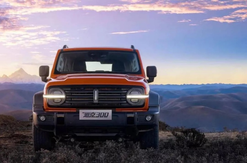 看上了100万的国产SUV 最后却买了3万的小多多？
