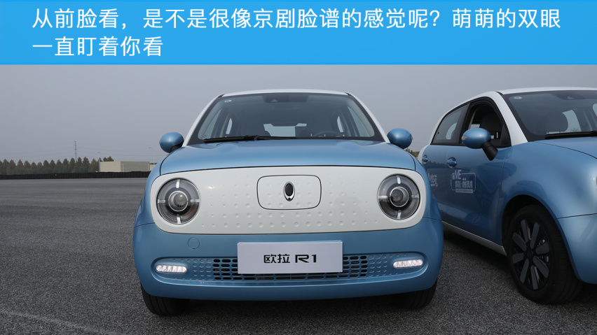 来自蜂巢能源的硬支撑，长城欧拉R1