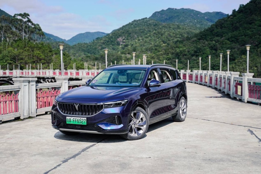30万买大5座SUV，配置拉满还带空气悬挂，试驾岚图FREE