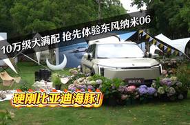 硬刚比亚迪海豚！高级辅助驾驶击穿10万级，抢先体验东风纳米06
