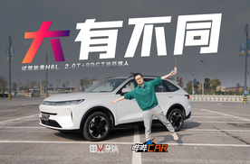 哈弗，还是不服啊！