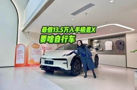 2025款极氪X推出两款新版型，全系享限时置换补贴，最低13.5万元