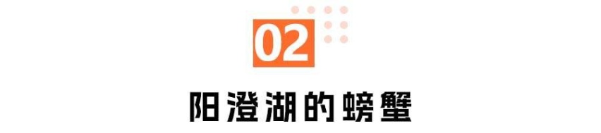 秋日远途一日游，比亚迪宋PLUS冠军版靠谱吗？