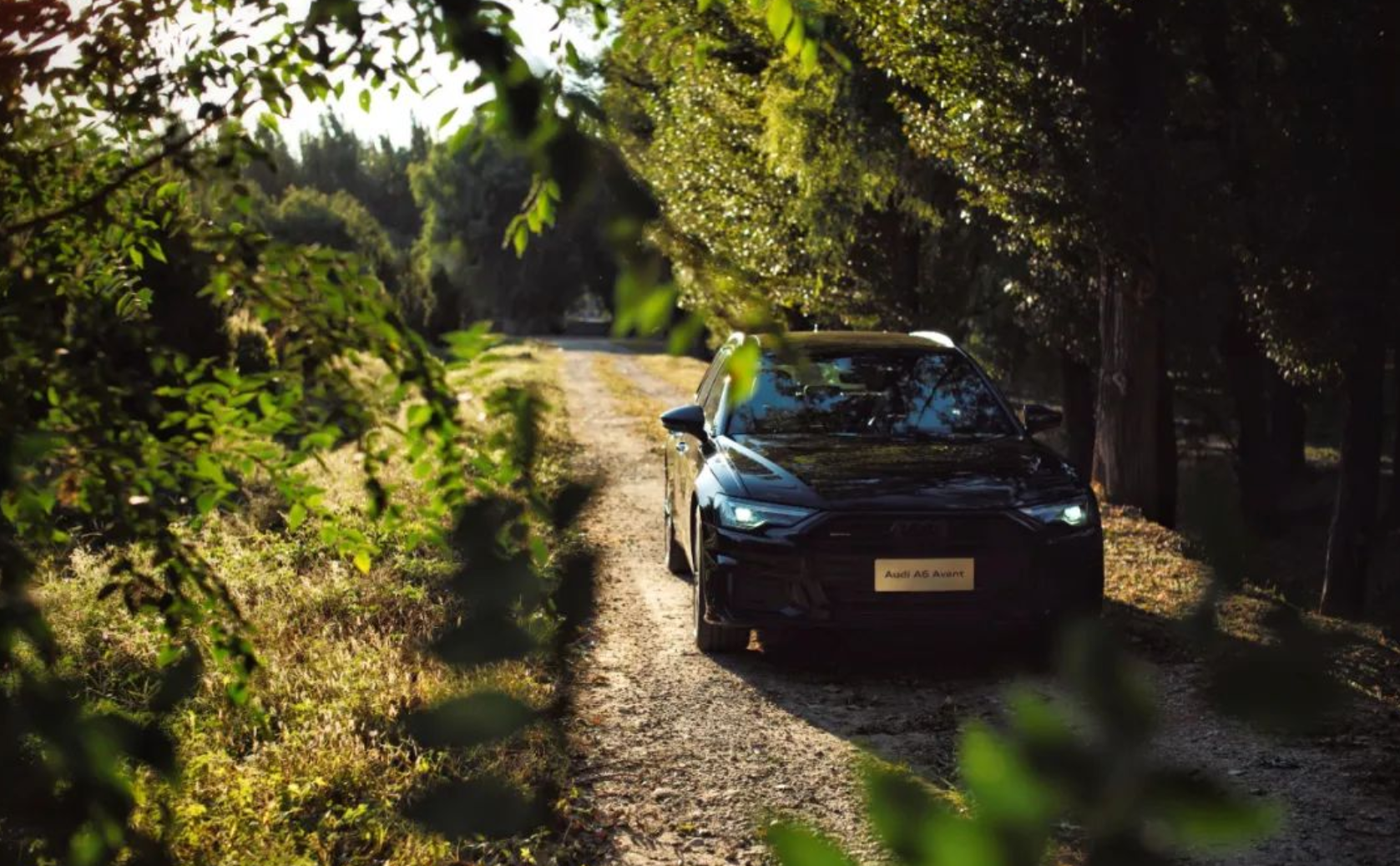 �������h�� �����̆��̡����W��A6 Avant��̽�U��