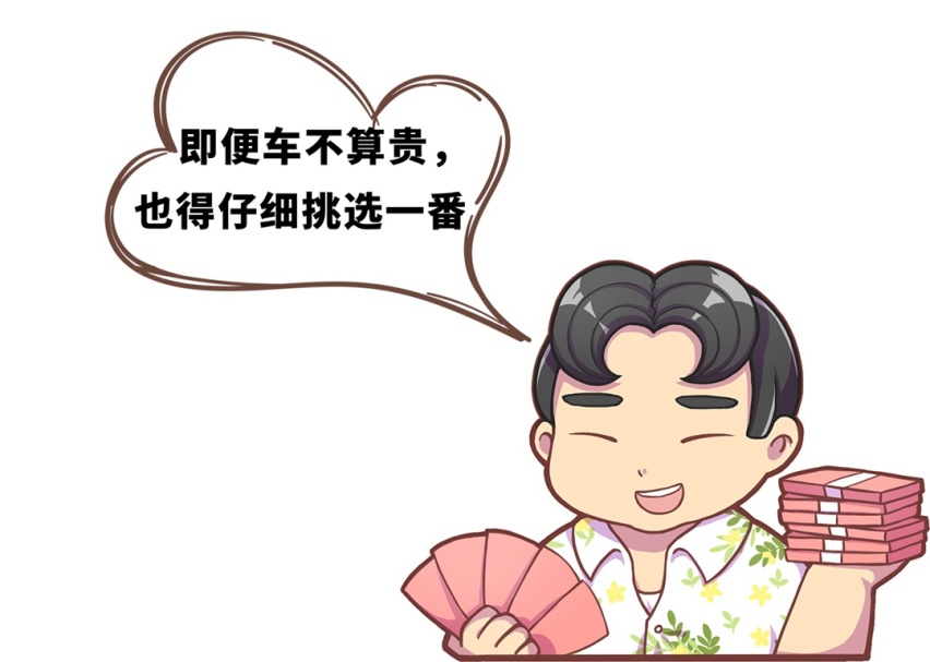 花10万买车 是选择德味儿品牌 还是支持国产？