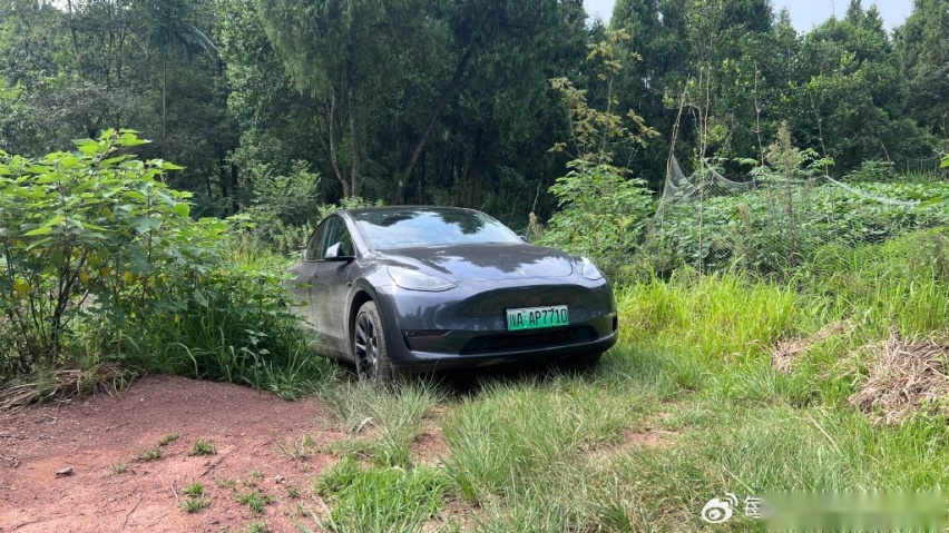 下订前一定要看看——长续航model Y深度体验报告