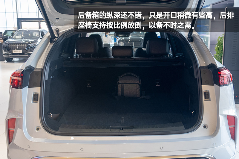 这是你想要的“味道”吗？WEY摩卡到店实拍