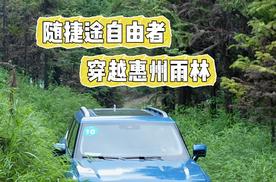 随捷途自由者 穿越惠州雨林
