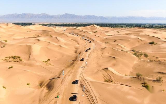 6天自驾 我开着缤智和冠道跑了环塔拉力赛道
