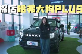 暖男心 硬汉壳！探店哈弗大狗PLUS