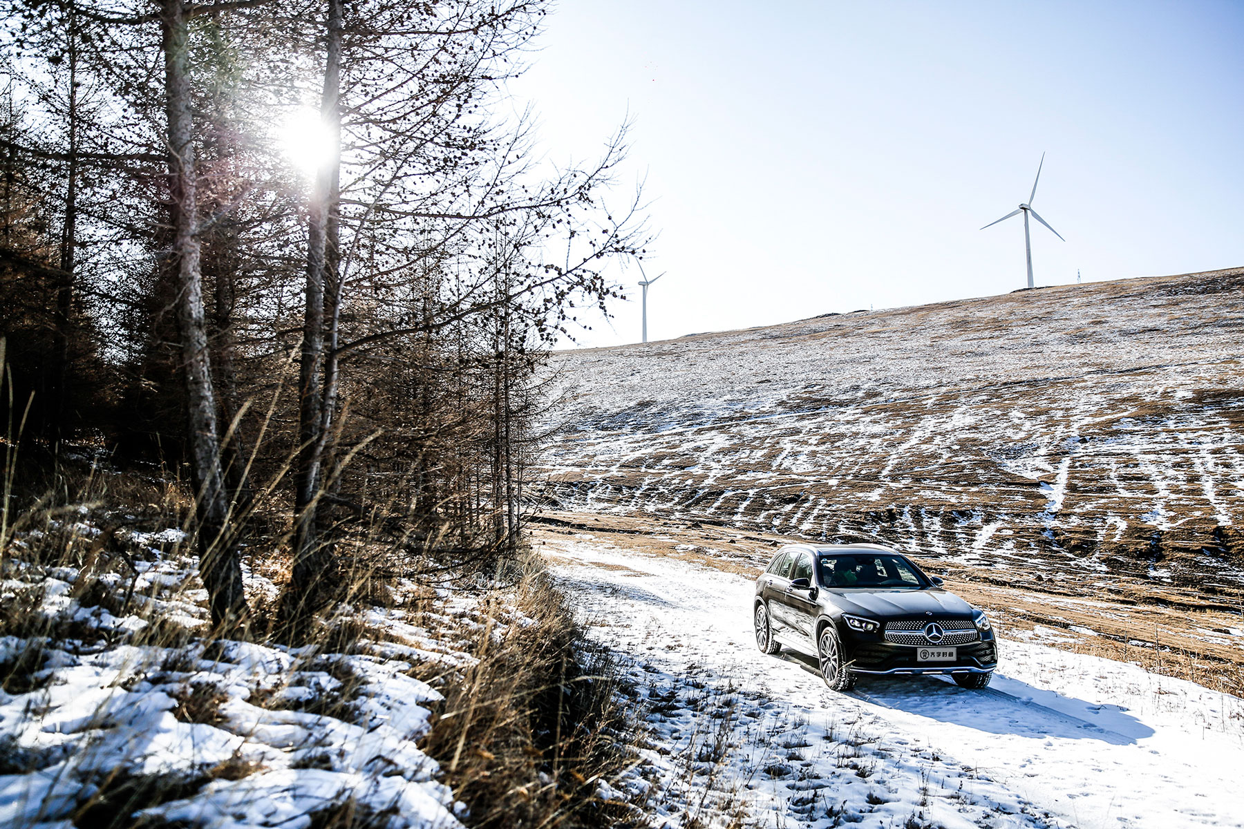 һLSGLC_MҰڱѩҰ