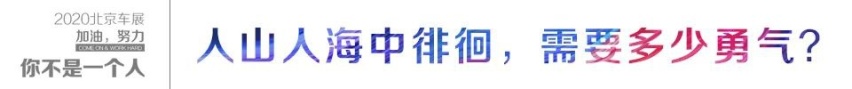 2020北京车展，加油，你不是一个人